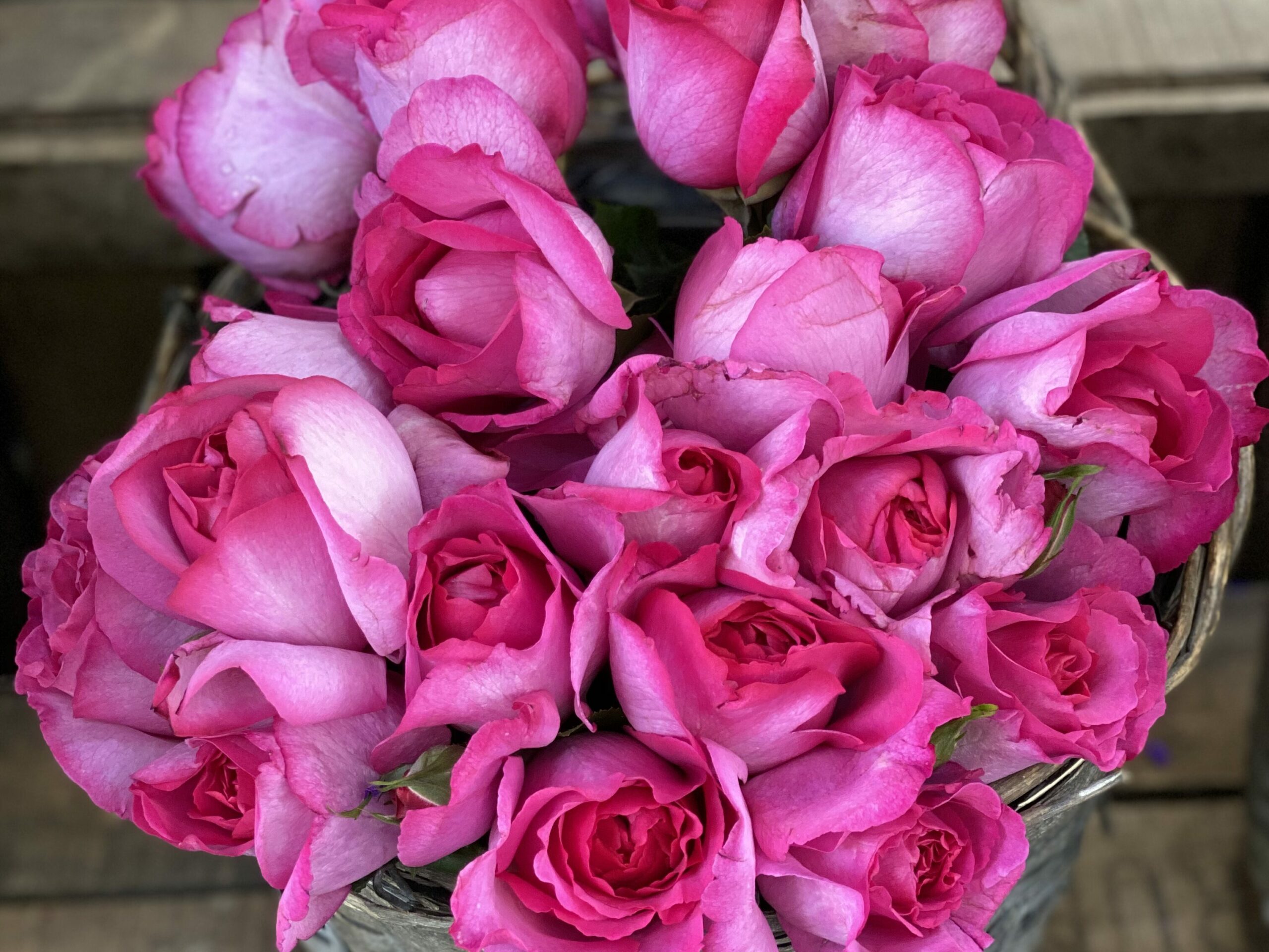 Sélection de fleurs fraîches à La Roseraie, fleuriste à Paris 20e